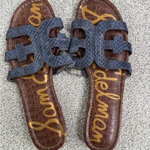 Sam Edelman Navy and Brown Slide Sandals